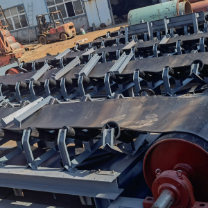 DT IIBelt Conveyor Series